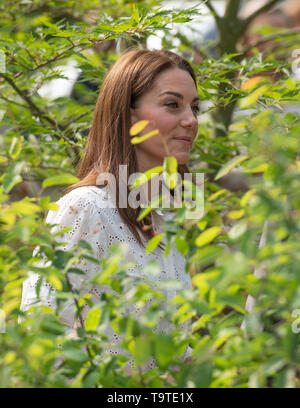 RHS Chelsea, London, Großbritannien. 20. Mai 2019. Ihre königliche Hoheit die Herzogin von Cambridge Ansichten der RHS Zurück zur Natur Garten sie Co - konzipiert. Credit: Malcolm Park/Alamy. Stockfoto