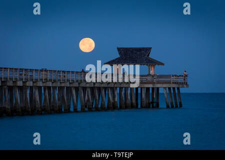 Einstellung Vollmond und am frühen Morgen in der Dämmerung über den Naples Pier, Naples, Florida, USA Stockfoto