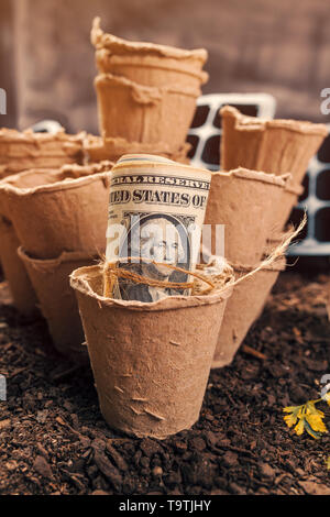 Biologisch abbaubare Torf Topf Boden Container und US Dollar Banknoten, Geld und Profit in lokal gewachsene organische Nahrungsmittelproduktion Stockfoto