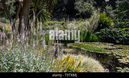 Royal Botanical Gardens, Hobart, Tasmanien Stockfoto