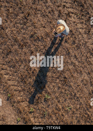 Blick von oben auf die männlichen Bauern fliegen eine Drohne mit Fernbedienung in der Getreideernte Stroh Feld im Sommer Sonnenuntergang Stockfoto