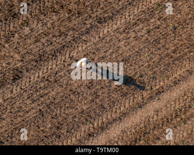 Blick von oben auf die männlichen Bauern fliegen eine Drohne mit Fernbedienung in der Getreideernte Stroh Feld im Sommer Sonnenuntergang Stockfoto