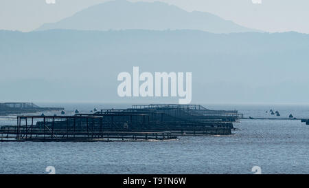 Die Lachszucht in Macquarie Harbour, Tasmanien Stockfoto