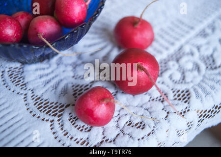 Frische reife Radieschen in einem blauen Glas salat Schüssel und an einem wunderschönen weißen Tischdecke. Stockfoto