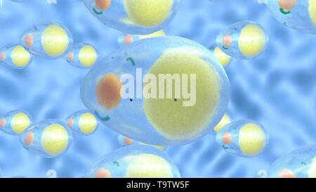 3D-Darstellung von adipozyten. Stockfoto