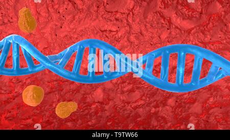 3D-Darstellung der organellen und DNA-Helix innerhalb eines Mikroorganismus, der Zelle. Stockfoto