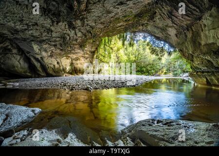 Moria Gate Arch, natürlicher Kalkstein Tunnel, rock Bogen über Oparara River, Oparara Basin, Kahurangi National Park, Karamea, West Coast Region, South Stockfoto