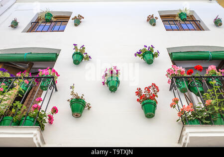 Haus Fassade voller grüner Blumentöpfe. Typische andalusische Architektur Hintergrund Stockfoto