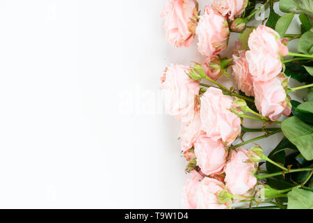 Blumen Komposition. Grenze aus rosa Blüten auf weißem Hintergrund. Flach, Ansicht von oben Szene mit Kopie Raum Stockfoto