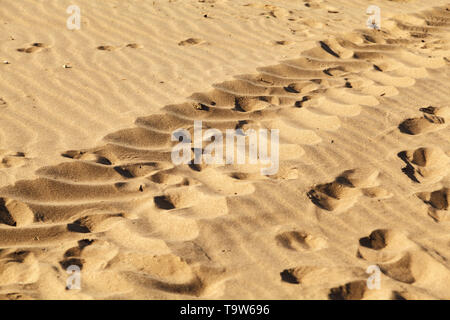 Menschliche Fußspuren im Sand am Strand, Textur Hintergrund. Stockfoto