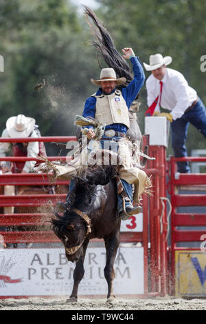Surrey, British Columbia, Kanada. 19 Mai, 2019. MITCH POLLOCK der Vereinigten Staaten von Amerika gewinnt 1.Platz mit einer Punktzahl von 89,5 Punkten in Saddle Bronc Riding Pool B im Cloverdale Rodeo & Country Fair am 19. Mai 2019 in Surrey, British Columbia, Kanada. Credit: Andrew Kinn/ZUMA Draht/Alamy leben Nachrichten Stockfoto