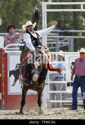 Surrey, British Columbia, Kanada. 19 Mai, 2019. LEIGHTON BERRY der Vereinigten Staaten von Amerika gewinnt 1.Platz mit einer Punktzahl von 88,5 Punkte im Reiten ohne Sattel Pool B im Cloverdale Rodeo & Country Fair am 19. Mai 2019 in Surrey, British Columbia, Kanada. Credit: Andrew Kinn/ZUMA Draht/Alamy leben Nachrichten Stockfoto