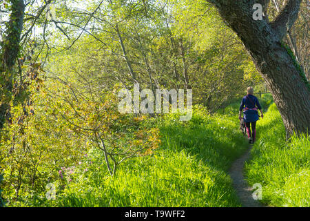 Aberystwyth Wales UK, Dienstag, 21. Mai 2019 Deutschland Wetter: eine Frau mit ihrem Hund an den Ufern des Flusses Rheidol auf einem hellen sonnigen Morgen, zu Beginn der dennoch einen anderen Tag der warmen Frühlingssonne in Aberystwyth Wales. Das Wetter für die nächsten Tage festgelegt, mit verlängerten Perioden der warmen Sonnenschein, mit Temperaturen die niedrigen 20 Celsius in Teilen der Süd-ost Foto: Keith Morris/Alamy leben Nachrichten Stockfoto