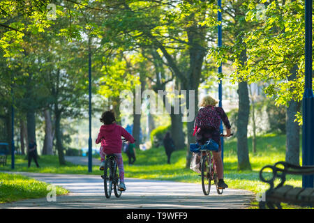 Aberystwyth Wales UK, Dienstag, 21. Mai 2019 Deutschland Wetter: Menschen Radfahren auf der von Bäumen gesäumten Plas Crug Park auf einem hellen, sonnigen Morgen, zu Beginn der dennoch einen anderen Tag der warmen Frühlingssonne in Aberystwyth Wales. Das Wetter für die nächsten Tage festgelegt, mit verlängerten Perioden der warmen Sonnenschein, mit Temperaturen die niedrigen 20 Celsius in Teilen der Süd-ost Foto: Keith Morris/Alamy leben Nachrichten Stockfoto