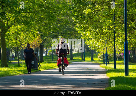 Aberystwyth Wales UK, Dienstag, 21. Mai 2019 Deutschland Wetter: Menschen Radfahren auf der von Bäumen gesäumten Plas Crug Park auf einem hellen, sonnigen Morgen, zu Beginn der dennoch einen anderen Tag der warmen Frühlingssonne in Aberystwyth Wales. Das Wetter für die nächsten Tage festgelegt, mit verlängerten Perioden der warmen Sonnenschein, mit Temperaturen die niedrigen 20 Celsius in Teilen der Süd-ost Foto: Keith Morris/Alamy leben Nachrichten Stockfoto