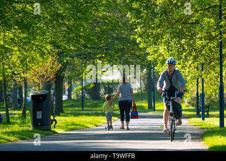 Aberystwyth Wales UK, Dienstag, 21. Mai 2019 Deutschland Wetter: Menschen Radfahren auf der von Bäumen gesäumten Plas Crug Park auf einem hellen, sonnigen Morgen, zu Beginn der dennoch einen anderen Tag der warmen Frühlingssonne in Aberystwyth Wales. Das Wetter für die nächsten Tage festgelegt, mit verlängerten Perioden der warmen Sonnenschein, mit Temperaturen die niedrigen 20 Celsius in Teilen der Süd-ost Foto: Keith Morris/Alamy leben Nachrichten Stockfoto