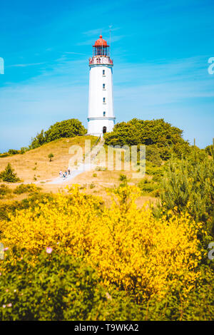 Gamous Leuchtturm Dornbusch auf der schönen Insel Hiddensee mit blühenden Blumen im Sommer, Ostsee, Mecklenburg-Vorpommern, Deutschland Stockfoto