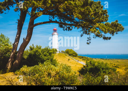 Gamous Leuchtturm Dornbusch auf der schönen Insel Hiddensee mit blühenden Blumen im Sommer, Ostsee, Mecklenburg-Vorpommern, Deutschland Stockfoto