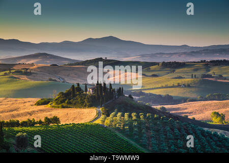 Malerische Toskana-Landschaft mit sanften Hügeln und Tälern im goldenen Morgenlicht, Val d ' Orcia, Italien Stockfoto
