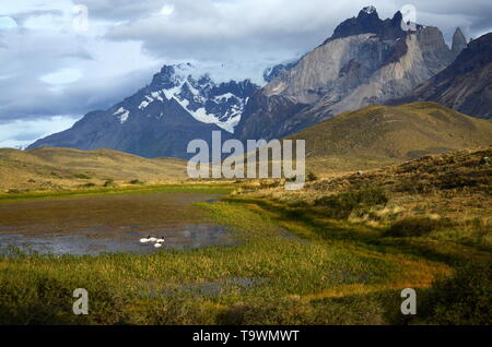 Berglandschaft im Torres del Paine Nationalpark, CHILE. Stockfoto