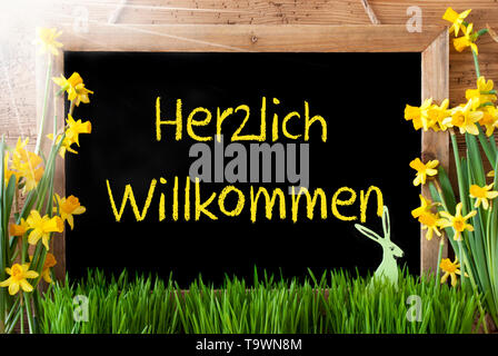 Tafel mit deutschem Text Herzlich Willkommen bedeutet Willkommen. Sonnige Frühling Blumen Nacissus oder Narzisse mit Gras und Osterhasen. Rustikal im Alter von Holz Stockfoto