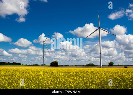 Zwei Windenergieanlagen mit bewölktem Himmel im Hintergrund und Raps Feld im Vordergrund. Stockfoto