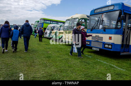 Llandudno, Großbritannien - 5. Mai 2019: Besucher der Llandudno Transport Festival 2019 genießen Sie die Displays und Exponate. Die Llantransfest ist in conjuncti gehalten Stockfoto