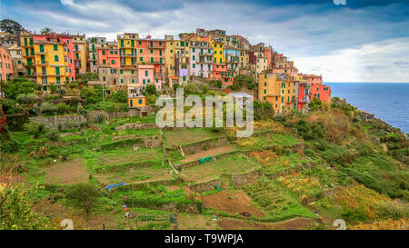 Cinque Terre Dorf Corniglia, La Spezia, Italien Stockfoto