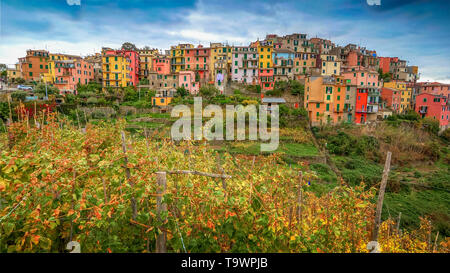 Cinque Terre Dorf Corniglia, La Spezia, Italien Stockfoto