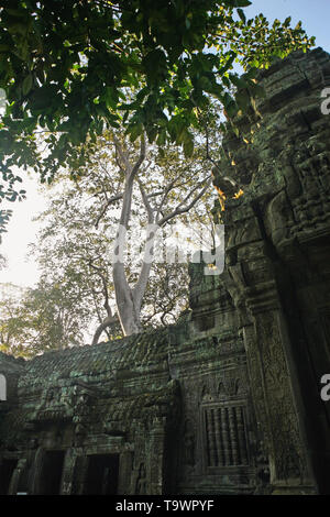 Teil der dritten Hof, Ta Prohm, Angkor, Siem Reap, Kambodscha Stockfoto