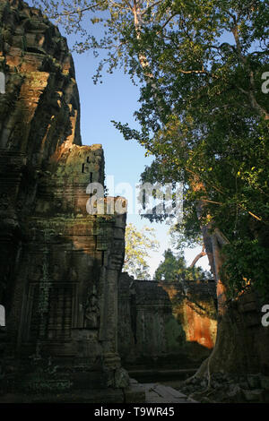 Teil der dritten Gehäuse, Ta Prohm, Angkor, Siem Reap, Kambodscha Stockfoto