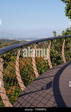 Erhöhte baum Canopy Walkway in Newlands, Kapstadt, Südafrika. Stockfoto