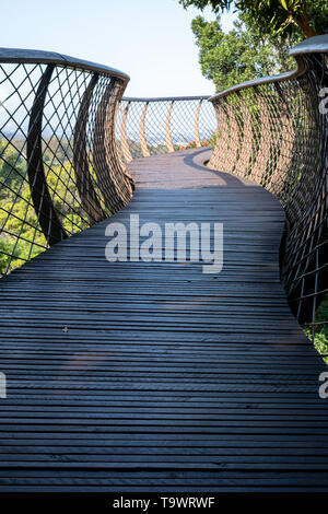 Erhöhte baum Canopy Walkway in Newlands, Kapstadt, Südafrika. Stockfoto