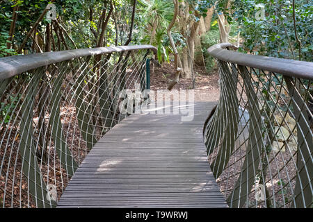 Erhöhte baum Canopy Walkway in Newlands, Kapstadt, Südafrika. Stockfoto