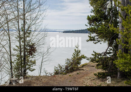 Yellowstone Lake, noch über Ende Mai eingefroren Stockfoto