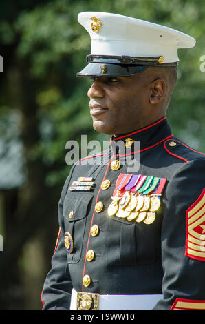 Dekoriert Marine gibt Rede auf ein Veteran Tag Zeremonie Stockfoto
