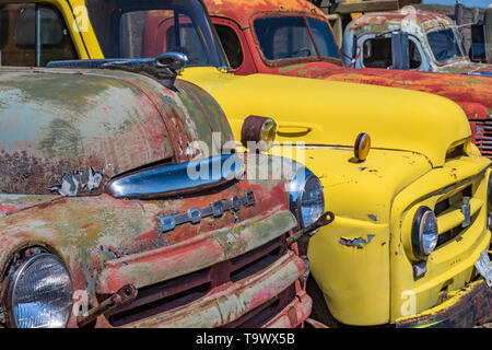 Pickups umfassen Dave's Alte LKW-Rettung Sammlung in Sprague, Washington State, USA [kein Eigentum Freigabe: Nur für redaktionelle Lizenzierung verfügbar] Stockfoto