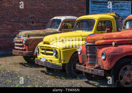 Pickups umfassen Dave's Alte LKW-Rettung Sammlung in Sprague, Washington State, USA [kein Eigentum Freigabe: Nur für redaktionelle Lizenzierung verfügbar] Stockfoto