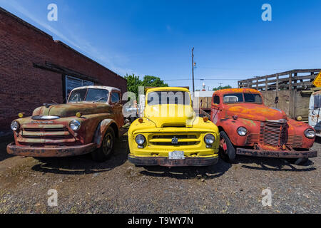 Pickups umfassen Dave's Alte LKW-Rettung Sammlung in Sprague, Washington State, USA [kein Eigentum Freigabe: Nur für redaktionelle Lizenzierung verfügbar] Stockfoto