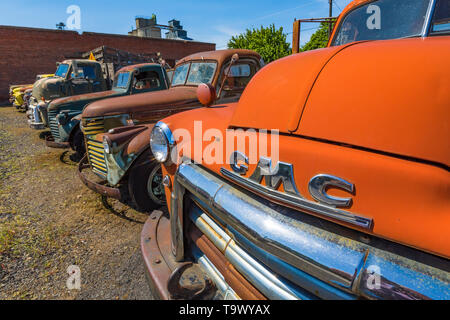 Pickups umfassen Dave's Alte LKW-Rettung Sammlung in Sprague, Washington State, USA [kein Eigentum Freigabe: Nur für redaktionelle Lizenzierung verfügbar] Stockfoto