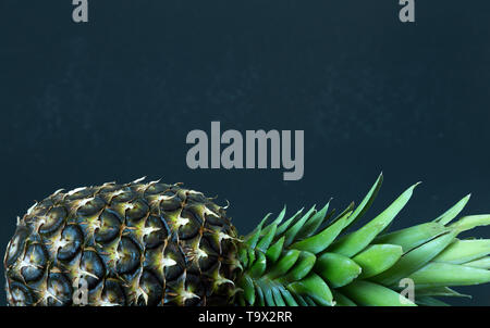 Ananas Vorlage auf schwarzem Hintergrund Stockfoto