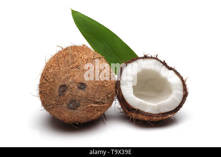 Frische Kokosnuss in der Hälfte mit Blatt auf weißem Hintergrund gebrochen Stockfoto