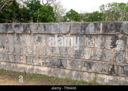 Die Tzompantli oder Schädel Plattform, wo die Köpfe der Maya Opfer, meist besiegten Feinde, angezeigt wurden; Chichen Itza, Mexiko Lateinamerika Stockfoto