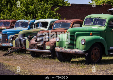 Pickups umfassen Dave's Alte LKW-Rettung Sammlung in Sprague, Washington State, USA [kein Eigentum Freigabe: Nur für redaktionelle Lizenzierung verfügbar] Stockfoto