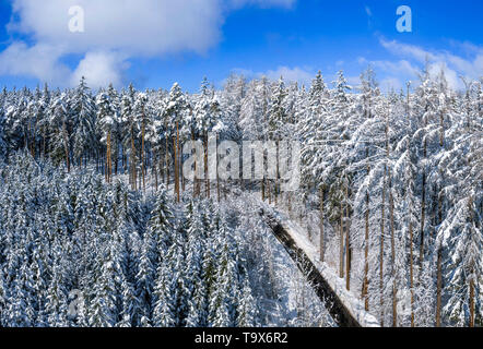 Winter Landschaft mit schneebedeckten Tannen, Tutzing, Oberbayern, Bayern, Deutschland, Europa, schneebedeckten Winterlandschaft mit Fichten, Oberbayern, Bayern, Stockfoto