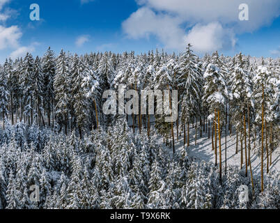 Winter Landschaft mit schneebedeckten Tannen, Tutzing, Oberbayern, Bayern, Deutschland, Europa, schneebedeckten Winterlandschaft mit Fichten, Oberbayern, Bayern, Stockfoto