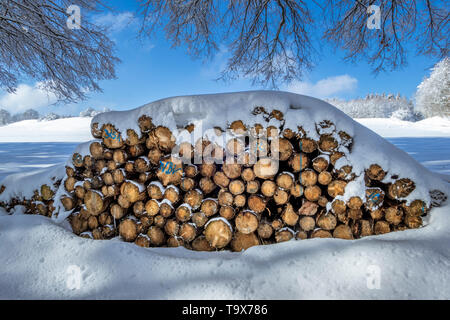 Gestapelt Brennholz bedeckt mit Schnee im Winter, mit Schnee bedecktes Aufgestapeltes Brennholz im Winter Stockfoto