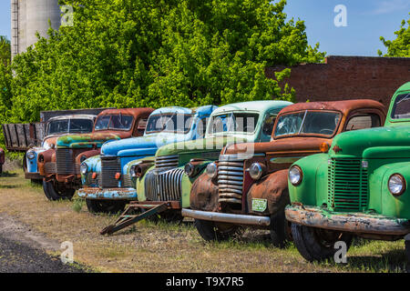 Pickups umfassen Dave's Alte LKW-Rettung Sammlung in Sprague, Washington State, USA [kein Eigentum Freigabe: Nur für redaktionelle Lizenzierung verfügbar] Stockfoto