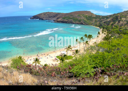 Blick auf den Strand bei Hanauma Bay Nature Preserve, Oahu, Hawaii, USA Stockfoto