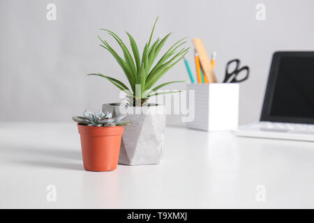 Verschiedene grüne Pflanzen in Töpfen auf weißen Tisch Stockfoto